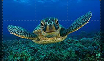 Cuba: meraviglie della natura: Guida TV  - TV Sorrisi e Canzoni