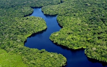 Amazzonia selvaggia: Guida TV  - TV Sorrisi e Canzoni
