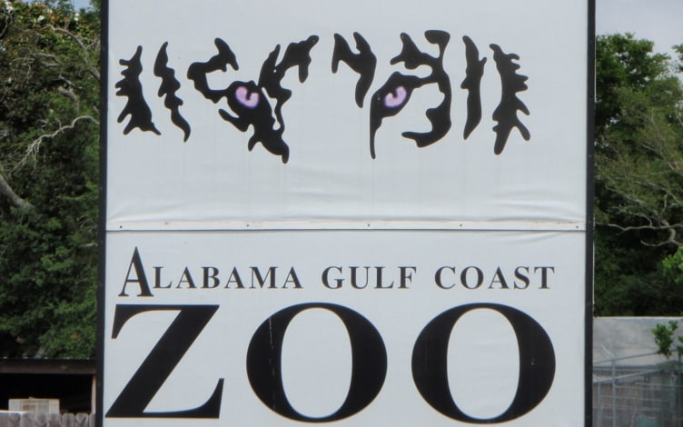 Zoo uragano: Guida TV  - TV Sorrisi e Canzoni