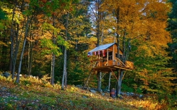 Per fare casa ci vuole un Albero: Guida TV  - TV Sorrisi e Canzoni