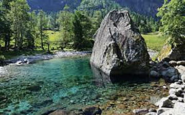 Vita e natura d'acqua dolce: Guida TV  - TV Sorrisi e Canzoni