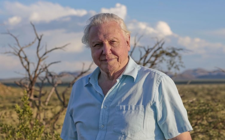 Attenborough e la grande barriera: Guida TV  - TV Sorrisi e Canzoni