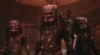 Predator 2