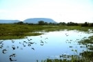 Episodio 3 - Pantanal: sopravvivere all'estremo