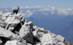 Episodio 5 - Parco delle Prealpi Giulie
