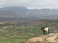 Episodio 5 - Ethiopia-Ras Dashen