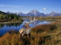 Episodio 11 - Yellowstone: il primo Parco Nazionale d'America