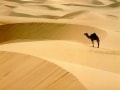 Episodio 18 - Il Sahara libico: acqua dal deserto