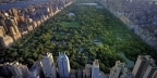 Episodio 22 - Central Park, vita nel cuore verde di New York