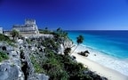 Wild Mexico