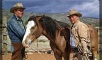 Gli indomabili dell'Arizona