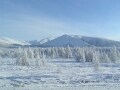 Episodio 1 - Altai: la valle del Kucherla