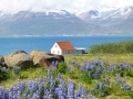 Episodio 71 - L'Islanda