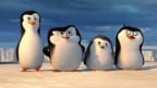 Episodio 11 - I pinguini di Madagascar