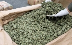 Episodio 2 - Drug Wars