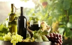 Episodio 1 - War of Wineries