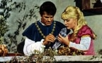 Il vendicatore mascherato