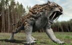 Episodio 5 - I misteri dei giganti