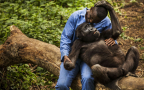 Episodio 1 - Wild Frank: missione gorilla