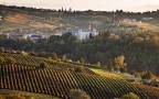 Episodio 8 - Langhe, Roero, Monferrato: il paesaggio vitivinicolo