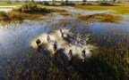 Episodio 2 - Botswana