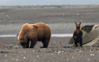 Episodio 2 - Man vs. Bear