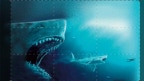 Shark - Il primo squalo