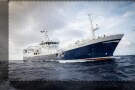 Episodio 9 - Ventimila chele sotto i mari