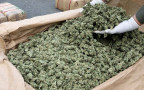 Episodio 8 - Drug Wars