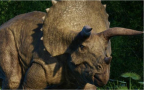 Episodio 1 - Il buono il brutto e il dinosauro