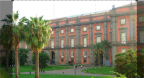 Episodio 6 - La Reggia di Capodimonte - Lo splendore borbonico