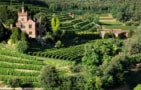 Episodio 8 - I vini nobili della Toscana