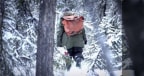 Episodio 20 - Life Below Zero