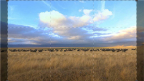 Episodio 2 - Namib Land of Extremes-