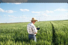 Episodio 3 - Be Green, Be Smart, Be Farmer