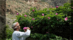 Episodio 3 - Oman - I giardini sospesi del Jebel Akhdar