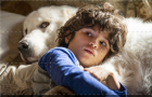 Belle e Sebastien - Next Generation