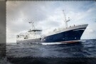 Episodio 2 - Ventimila chele sotto i mari