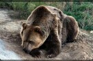 Episodio 13 - Alaska: i nuovi pionieri