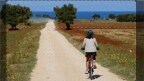 Episodio 7 - Emilia Romagna