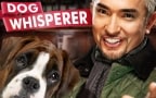 Episodio 7 - Dog Whisperer - Uno psicologo da cani