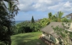Episodio 4 - Davanti alla finestra: le Hawaii