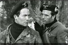 Tiro al piccione
