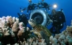 Deep sea: il mondo sommerso