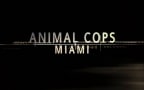 Episodio 3 - Serragli a Miami
