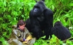 Gorilla nella nebbia - La storia di Dian Fossey