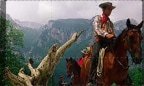 Per un dollaro a Tucson si muore