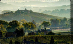 Episodio 3 - Consorzio Barbera d'Asti