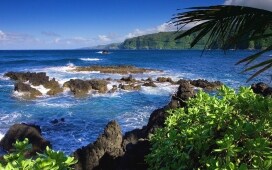 Episodio 2 - Case impossibili: Hawaii