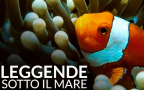 Episodio 33 - Leggende sotto il mare
